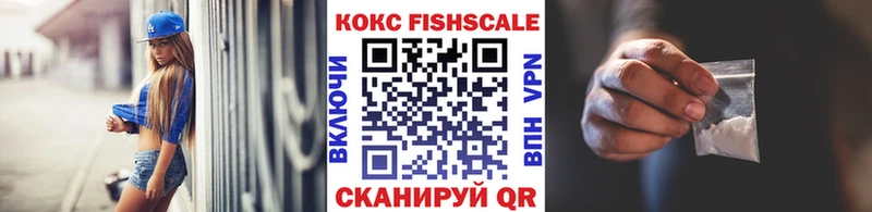 Cocaine Fish Scale  MEGA маркетплейс  Камень-на-Оби 