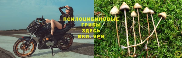 мяу мяу мука Верхнеуральск