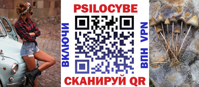 сколько стоит  Камень-на-Оби  Псилоцибиновые грибы Psilocybe 